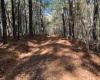 Monteith Road, Blythewood, South Carolina, ,Land,For Sale,Monteith Road,1031